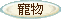 新手入学
